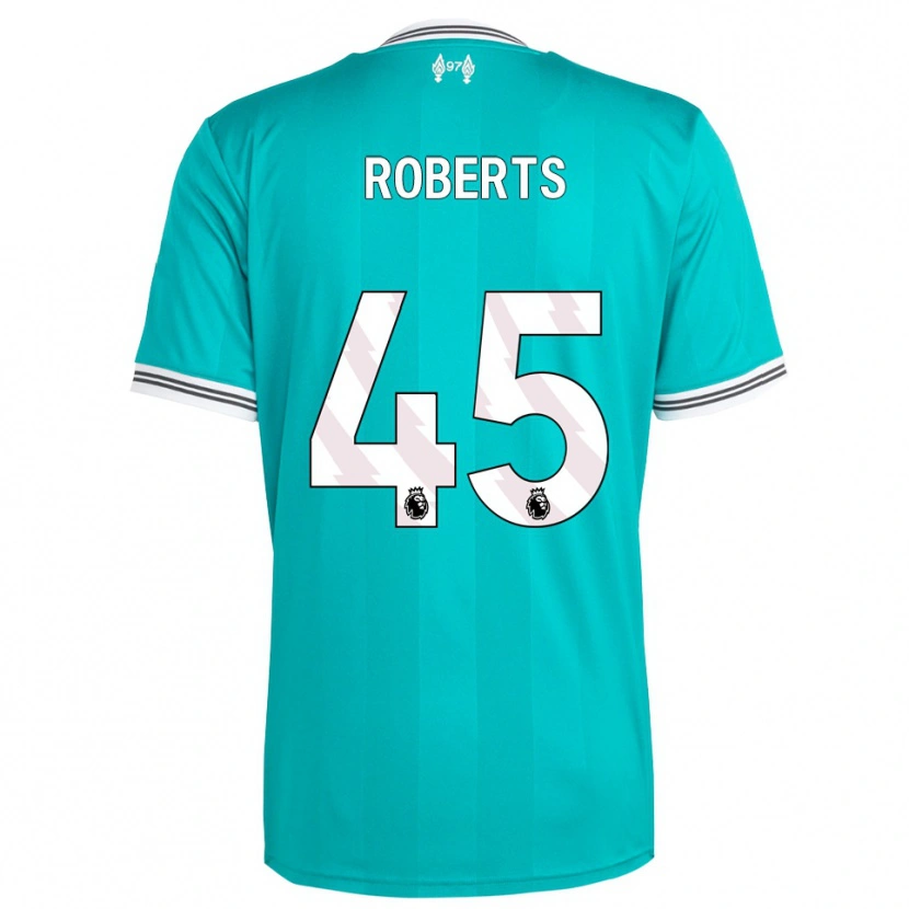 Danxen Niño Camiseta Iwan Roberts #45 Verde Blanco Equipación Tercera 2025/26 La Camisa