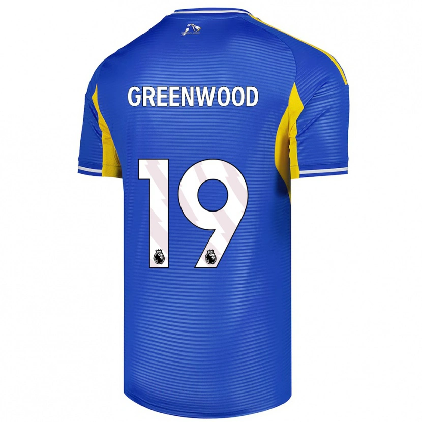 Danxen Mujer Camiseta Sam Greenwood #19 Azul Amarillo 2ª Equipación 2025/26 La Camisa