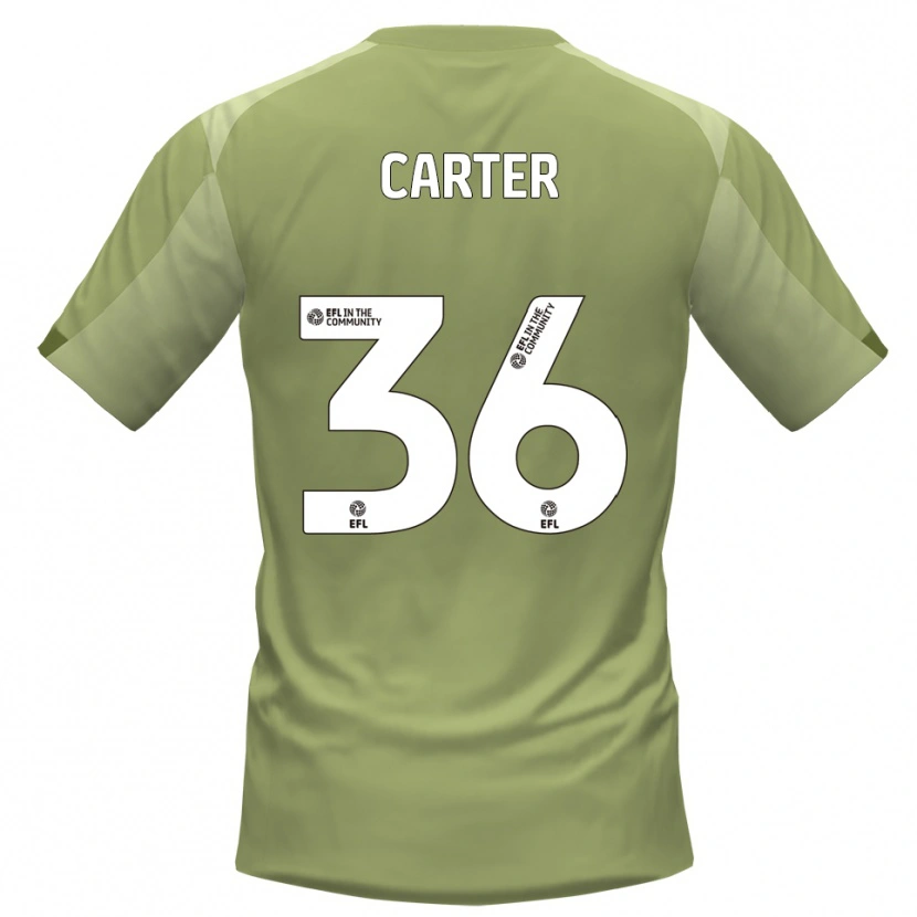 Danxen Hombre Camiseta Dan Carter #36 Salvia Champán 2ª Equipación 2025/26 La Camisa