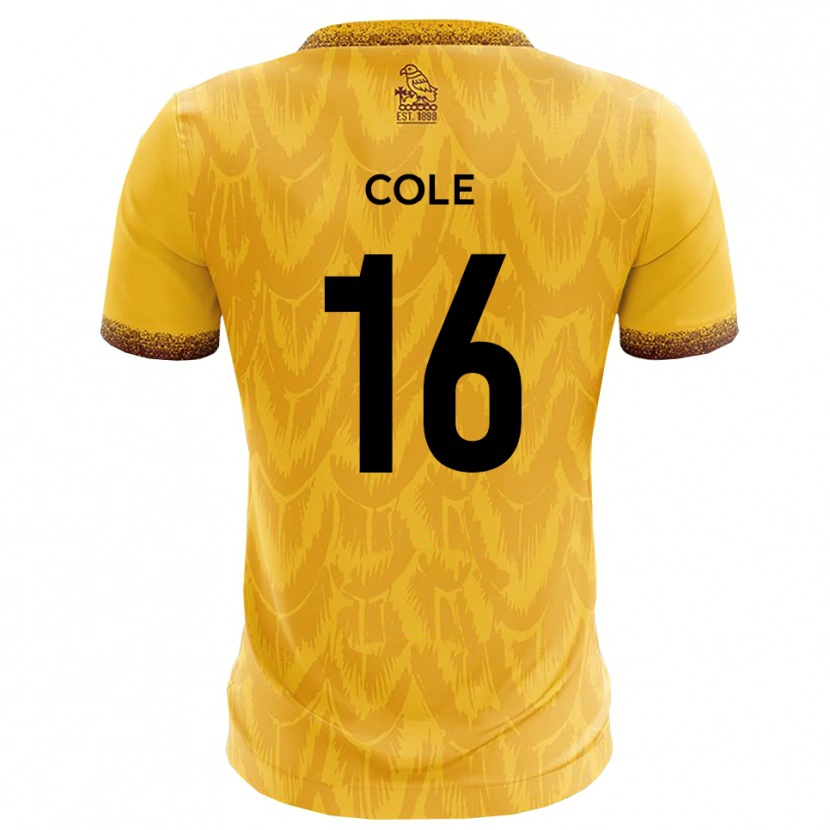 Danxen Niño Camiseta Harry Cole #16 Amarillo Marrón 1ª Equipación 2025/26 La Camisa