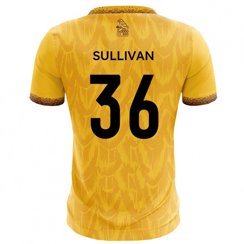 Danxen Hombre Camiseta Cameron Sullivan #36 Amarillo Marrón 1ª Equipación 2025/26 La Camisa