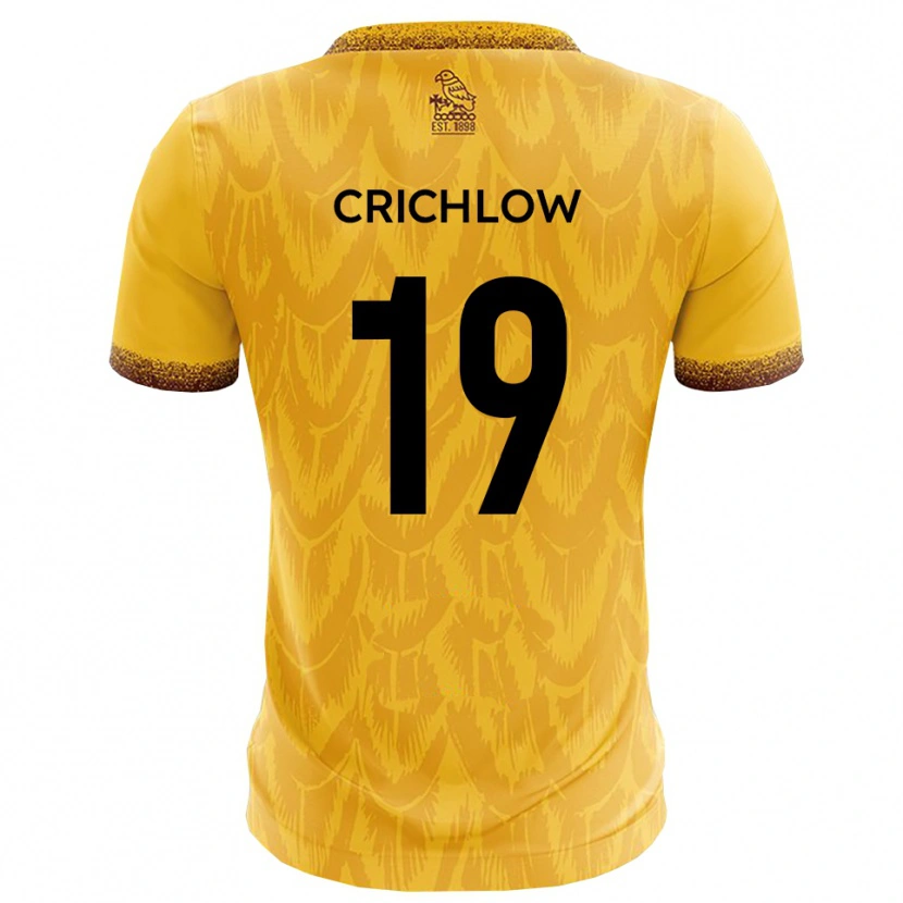Danxen Mujer Camiseta Kane Crichlow #19 Amarillo Marrón 1ª Equipación 2025/26 La Camisa