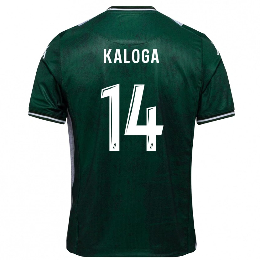 Danxen Mujer Camiseta Amallah Kaloga #14 Verde Blanco 1ª Equipación 2025/26 La Camisa