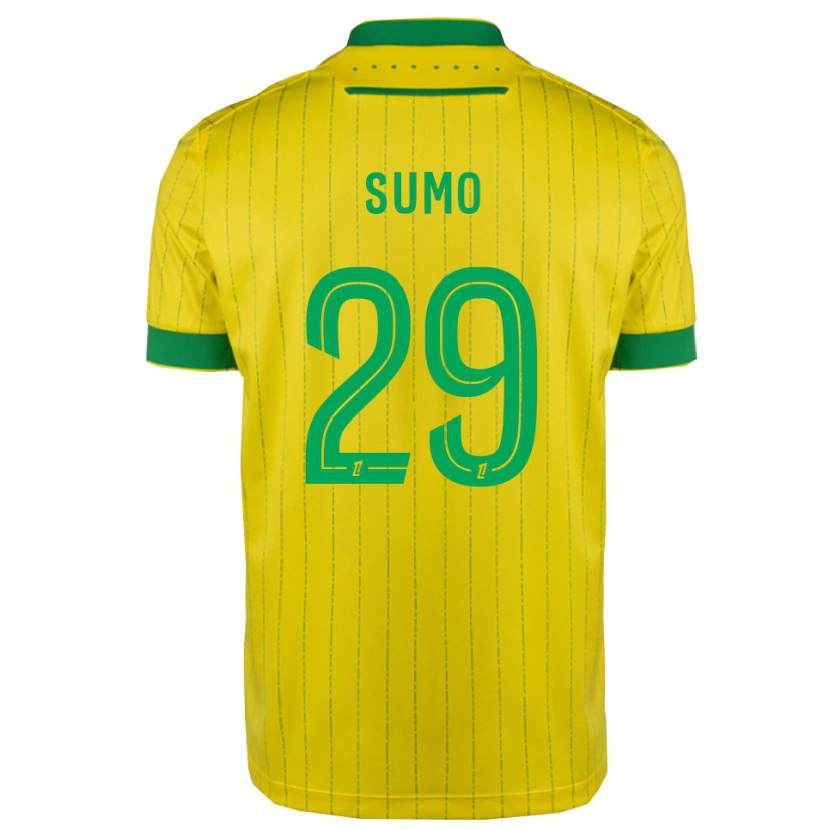 Danxen Mujer Camiseta Eva Sumo #29 Amarillo Verde 1ª Equipación 2025/26 La Camisa