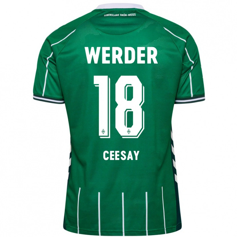 Danxen Niño Camiseta Ablie Ceesay #18 Verde Blanco 1ª Equipación 2025/26 La Camisa
