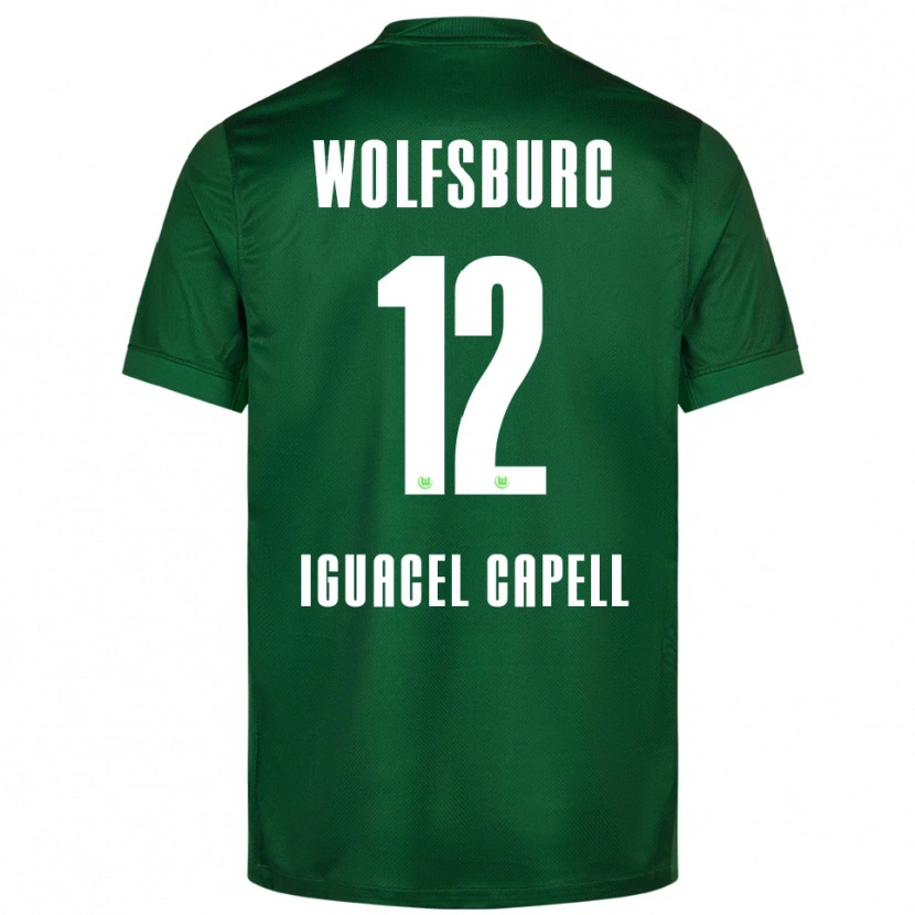 Danxen Niño Camiseta Diego Iguacel Capell #12 Verde Blanco 1ª Equipación 2025/26 La Camisa
