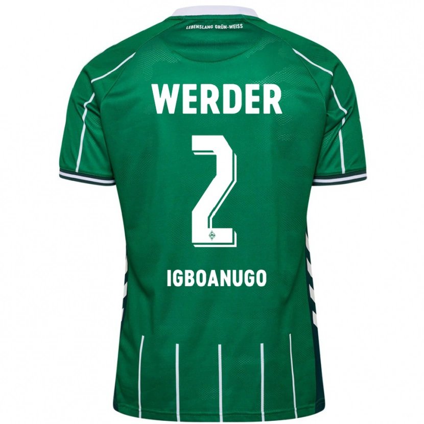 Danxen Hombre Camiseta David Igboanugo #2 Verde Blanco 1ª Equipación 2025/26 La Camisa