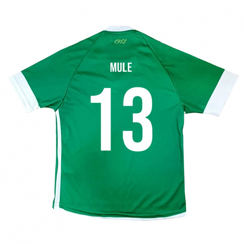 Danxen Hombre Camiseta Erasmo Mulè #13 Verde Blanco 1ª Equipación 2025/26 La Camisa