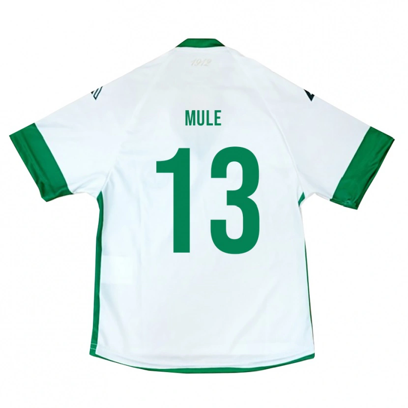 Danxen Hombre Camiseta Erasmo Mulè #13 Blanco Verde Azul 2ª Equipación 2025/26 La Camisa