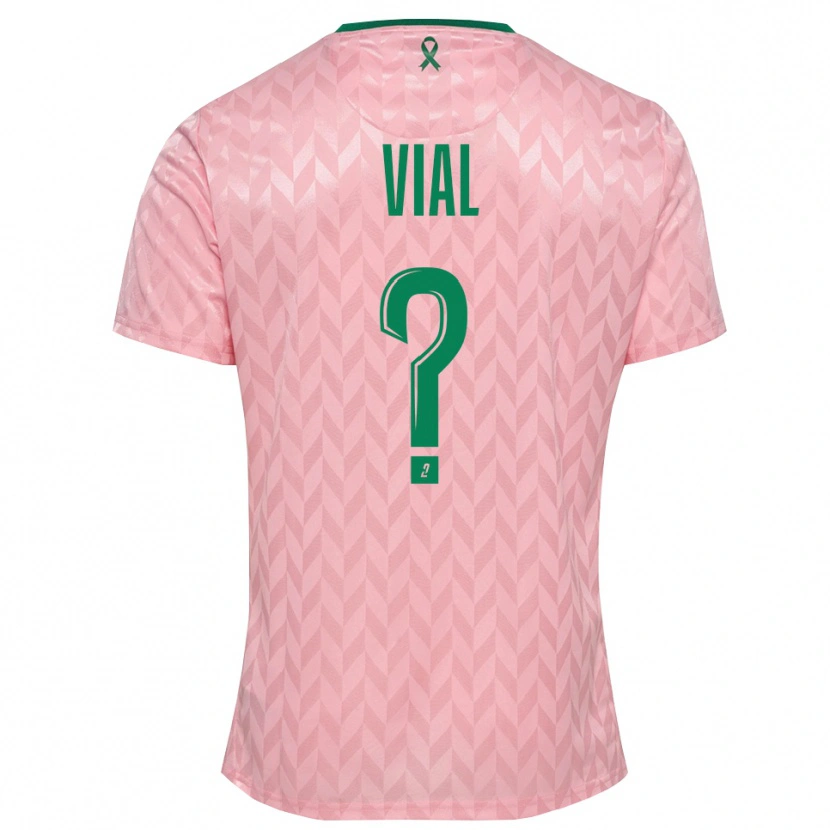 Danxen Niño Camiseta Lorik Vial #0 Verde Rosa Portero Equipación 2025/26 La Camisa