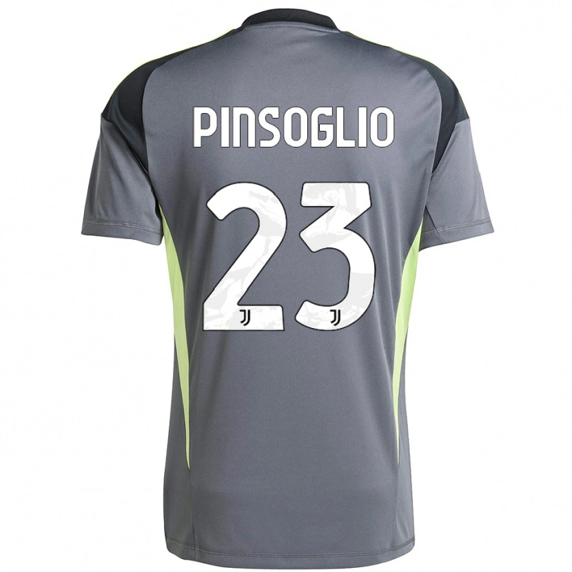 Danxen Mujer Camiseta Carlo Pinsoglio #23 Gris Oscuro Blanco Portero Equipación 2025/26 La Camisa