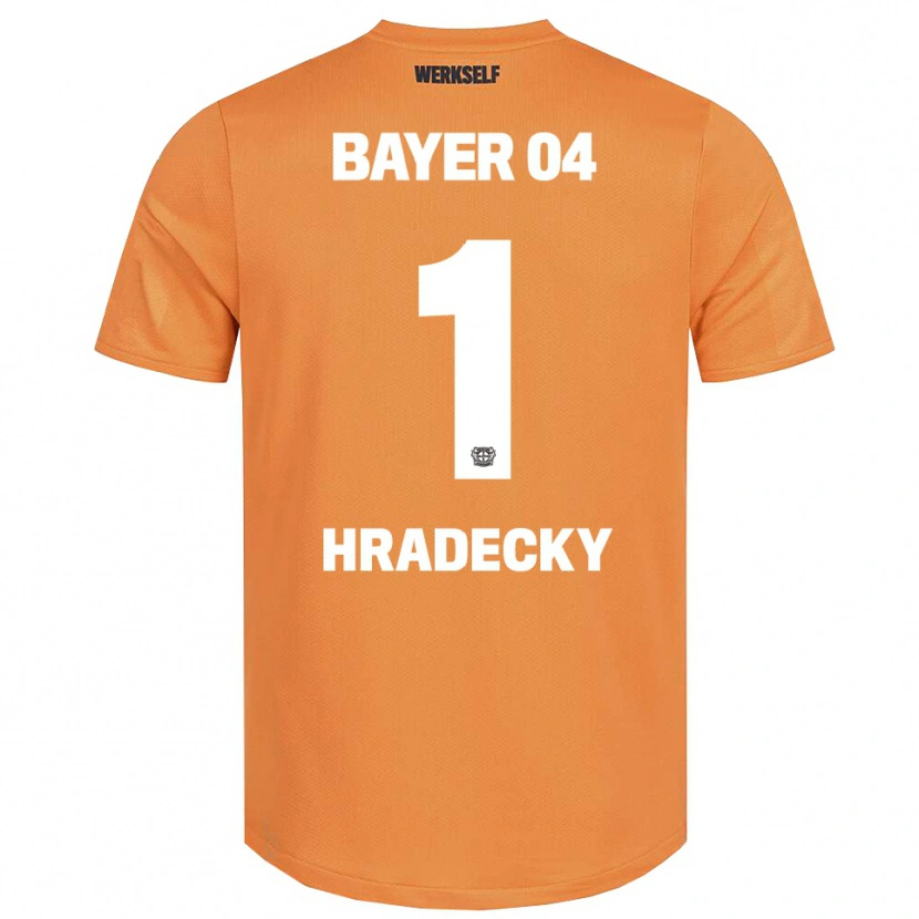 Danxen Mujer Camiseta Lukas Hradecky #1 Marrón Arena Portero Equipación 2025/26 La Camisa