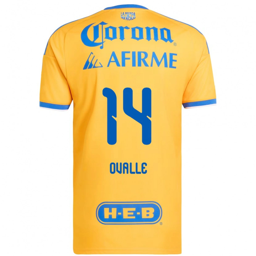 Danxen Niño Camiseta Lizbeth Ovalle #14 Amarillo Azul 1ª Equipación 2026/27 La Camisa