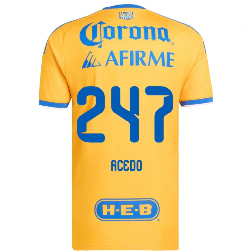 Danxen Mujer Camiseta Kevin Acedo #247 Amarillo Azul 1ª Equipación 2026/27 La Camisa