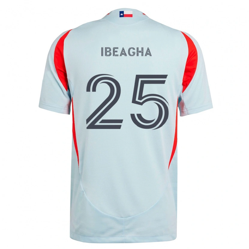 Danxen Hombre Camiseta Sebastien Ibeagha #25 Gris Oscuro Blanco Rojo 2ª Equipación 2026/27 La Camisa