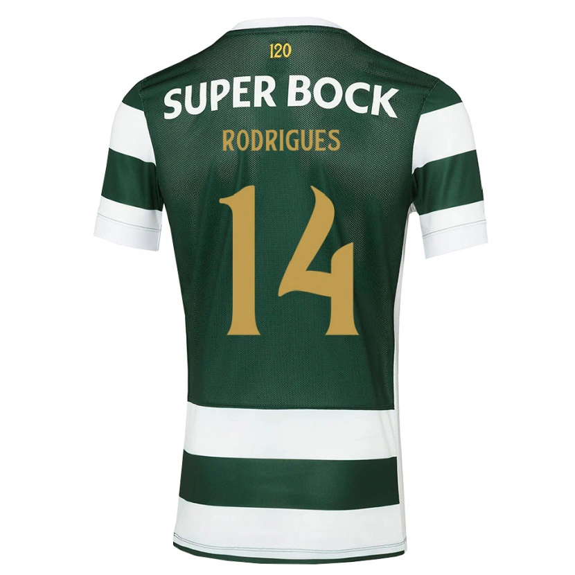 Danxen Niño Camiseta Paulo Rodrigues #14 Grisardodarkslategray Blanco 1ª Equipación 2026/27 La Camisa