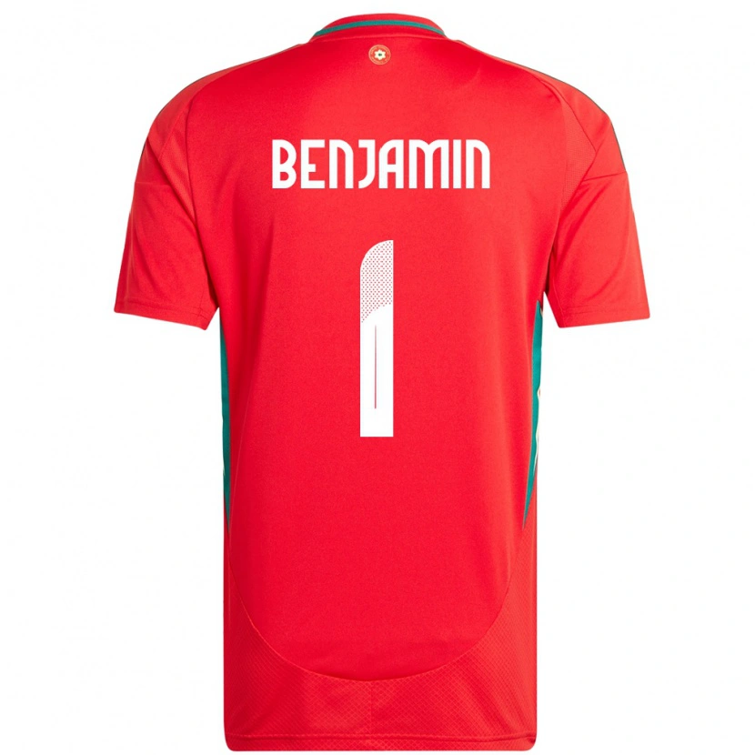 Danxen Niño Camiseta Gales Lewys Benjamin #1 Rojo 1ª Equipación 24-26 La Camisa