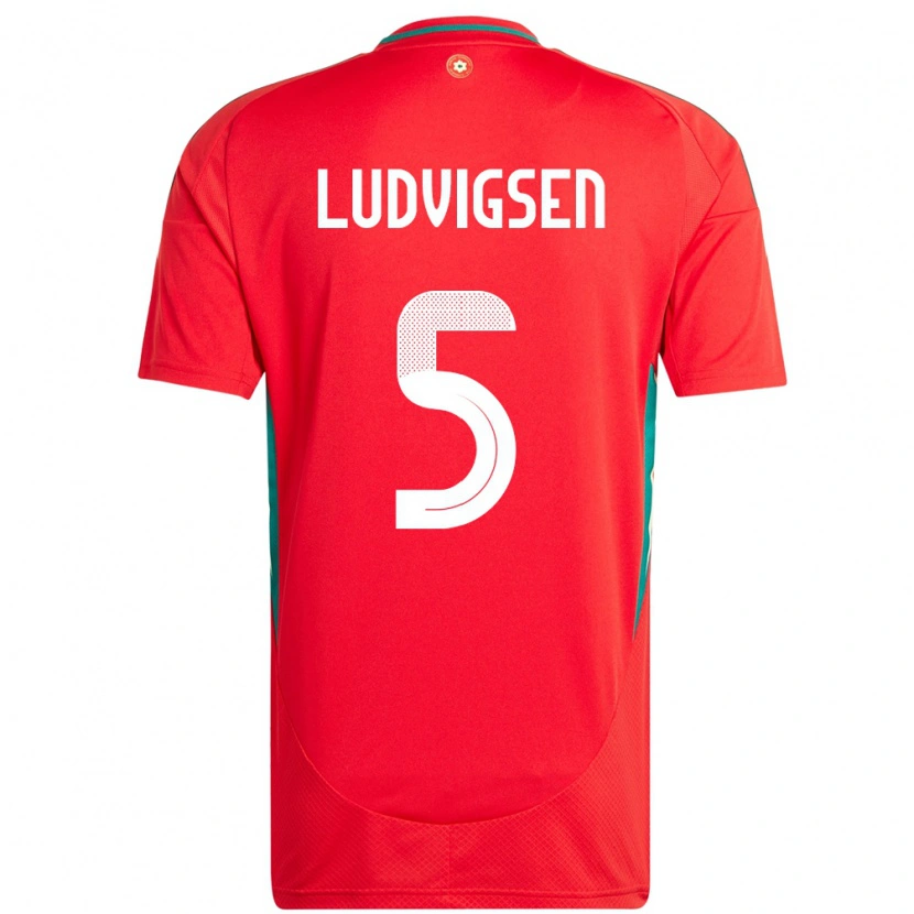 Danxen Niño Camiseta Gales Kai Ludvigsen #5 Rojo 1ª Equipación 24-26 La Camisa