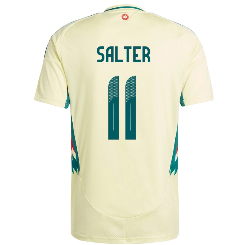 Danxen Niño Camiseta Gales Oliver Salter #11 Beige Amarillo 2ª Equipación 24-26 La Camisa