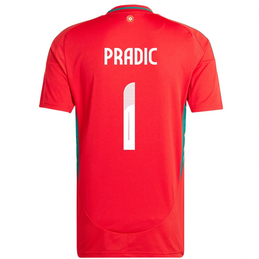 Danxen Hombre Camiseta Gales James Pradic #1 Rojo 1ª Equipación 24-26 La Camisa