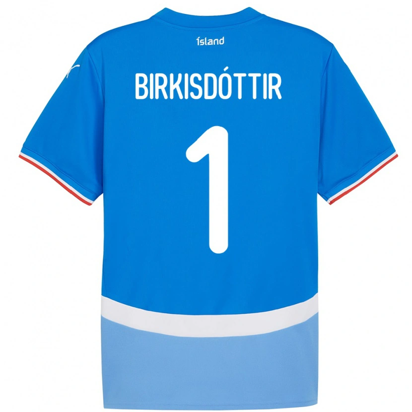Danxen Hombre Camiseta Islandia Fanney Inga Birkisdóttir #1 Azul 1ª Equipación 24-26 La Camisa
