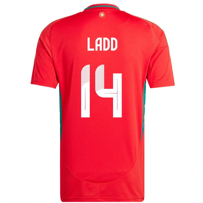 Danxen Mujer Camiseta Gales Hayley Ladd #14 Rojo 1ª Equipación 24-26 La Camisa
