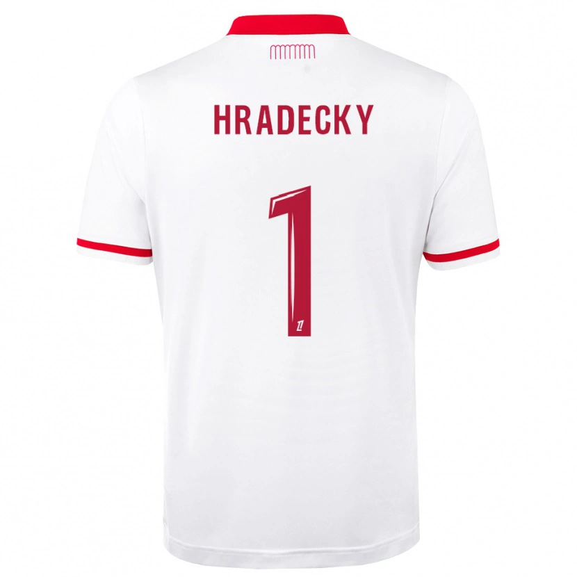 Danxen Niño Camiseta Lukas Hradecky #1 Rojo Blanco 1ª Equipación 2026/27 La Camisa