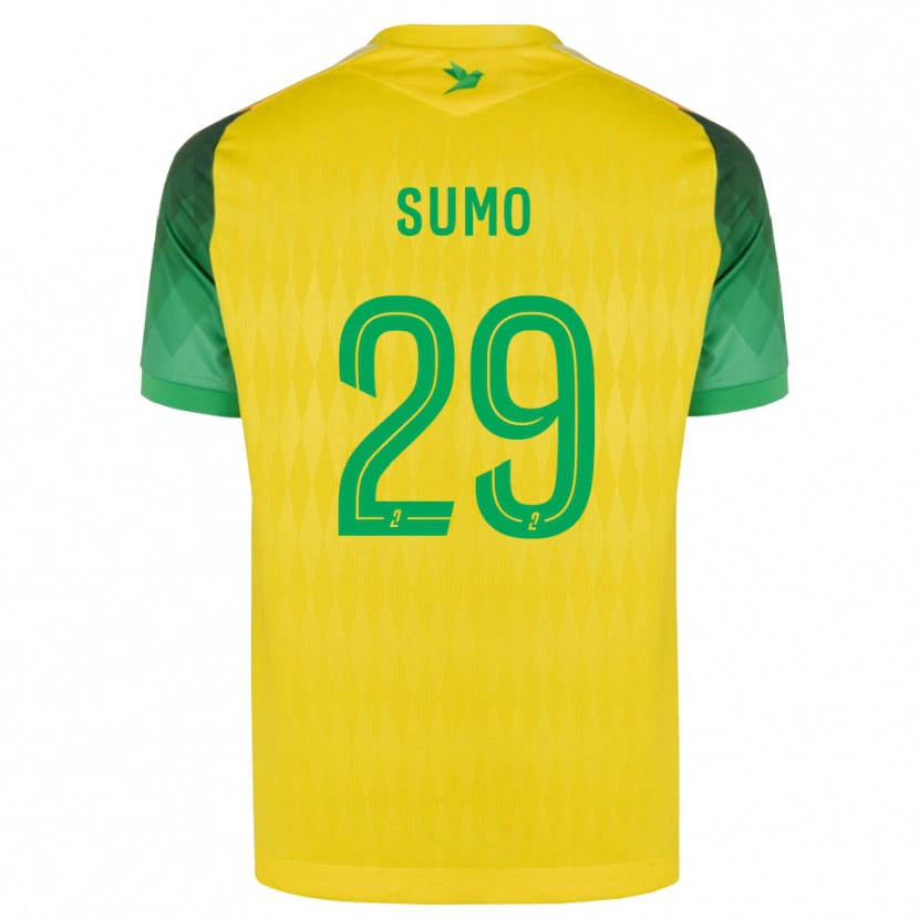 Danxen Hombre Camiseta Eva Sumo #29 Amarillo Verde Rojo 1ª Equipación 2026/27 La Camisa