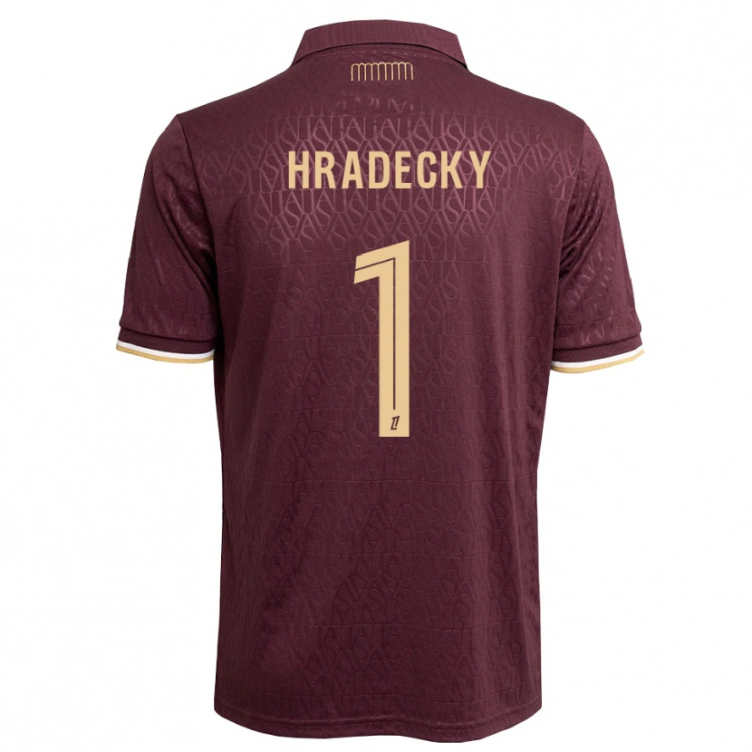 Danxen Hombre Camiseta Lukas Hradecky #1 Rojo Marrón Arena 2ª Equipación 2026/27 La Camisa