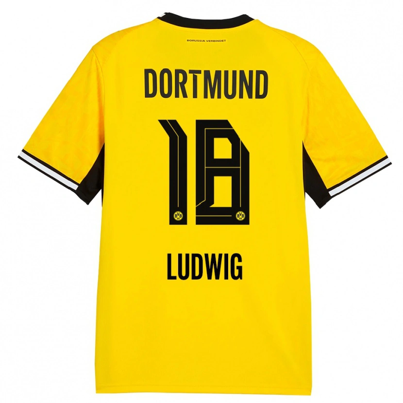 Danxen Hombre Camiseta Michel Ludwig #18 Amarillo Negro Blanco 1ª Equipación 2026/27 La Camisa