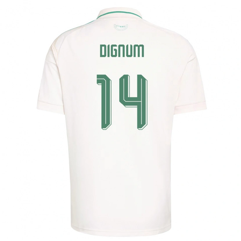 Danxen Niño Camiseta Gales Alfie Dignum #14 Blanco Marrón Verde 2ª Equipación 26-28 La Camisa