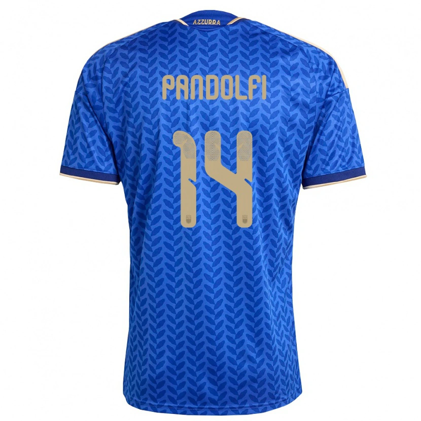 Danxen Hombre Camiseta Italia Fabio Pandolfi #14 Azul Marino Oro 1ª Equipación 26-28 La Camisa