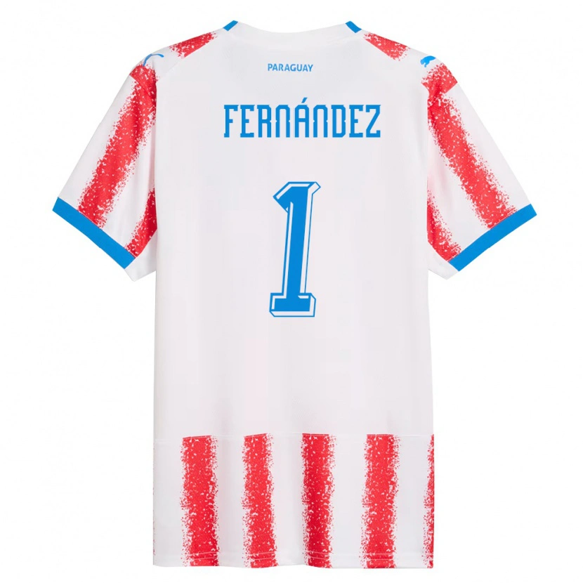 Danxen Niño Camiseta Paraguay Matías Fernández #1 Blanco Rojo Azul 1ª Equipación 26-28 La Camisa