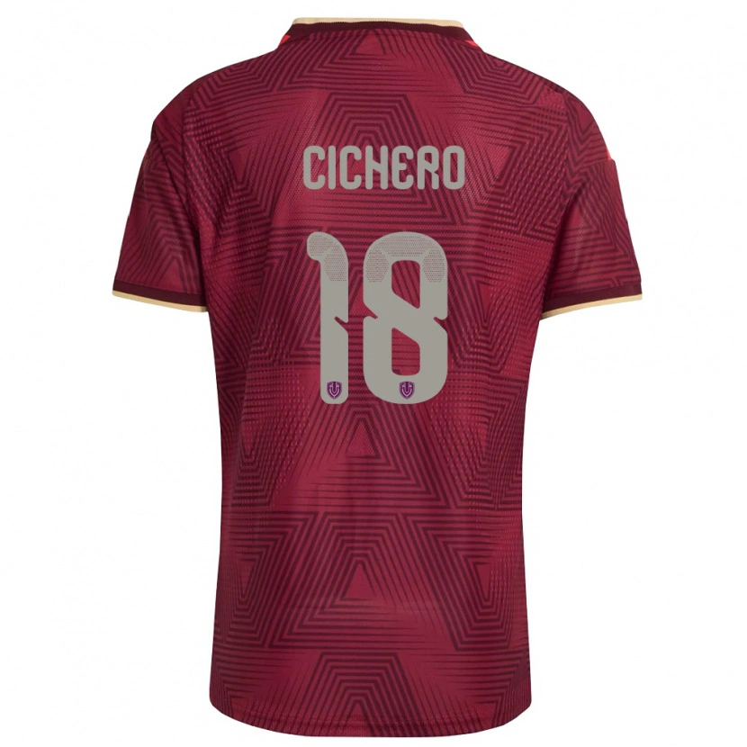 Danxen Hombre Camiseta Venezuela Alejandro Cichero #18 Borgoña Oro Amarillo 1ª Equipación 26-28 La Camisa