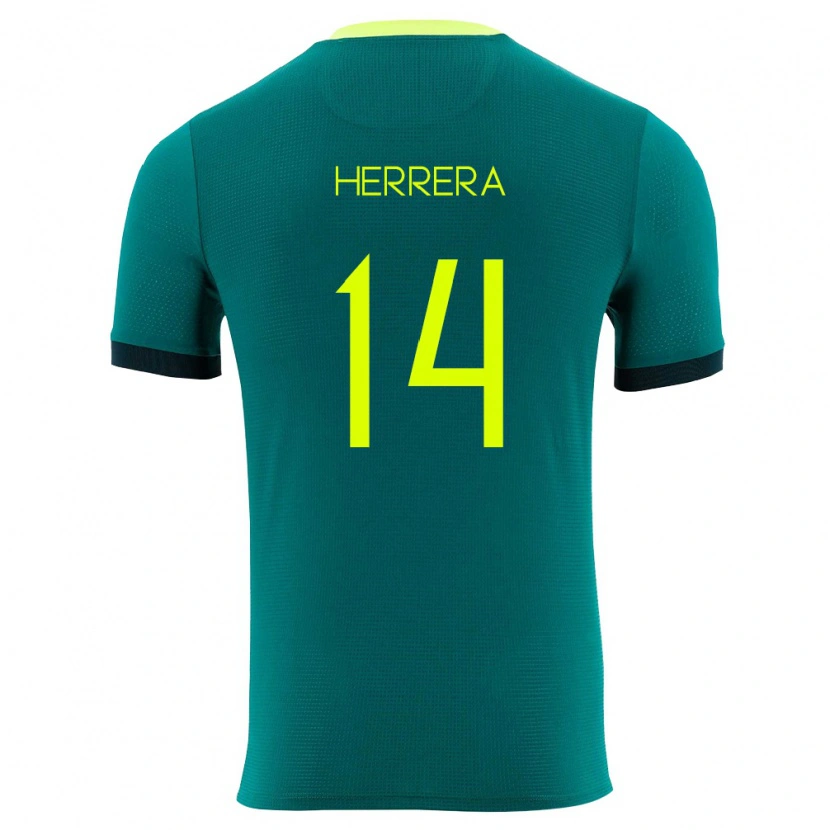 Danxen Mujer Camiseta Bolivia José Herrera #14 Verde Amarillo Negro 1ª Equipación 26-28 La Camisa