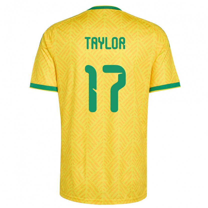 Danxen Niño Camiseta Sudáfrica Joshua Taylor #17 Amarillo Verde 1ª Equipación 26-28 La Camisa