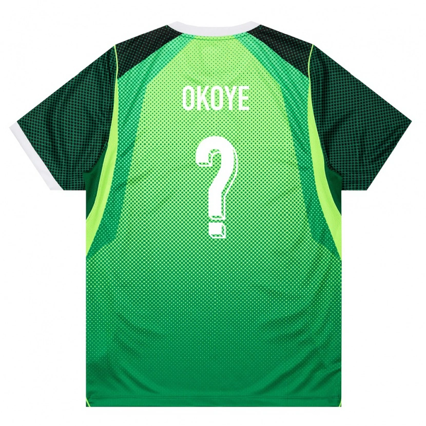 Danxen Niño Camiseta Nigeria Maduka Okoye #0 Verde Blanco 1ª Equipación 26-28 La Camisa