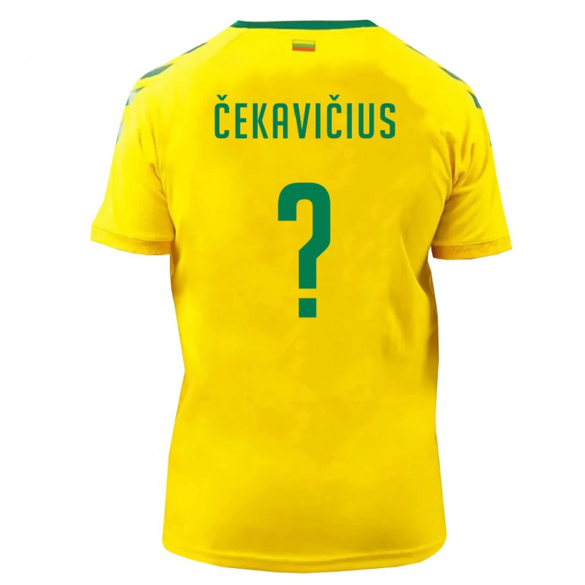 Danxen Niño Camiseta Lituania Dominykas Čekavičius #0 Amarillo Verde 1ª Equipación 26-28 La Camisa