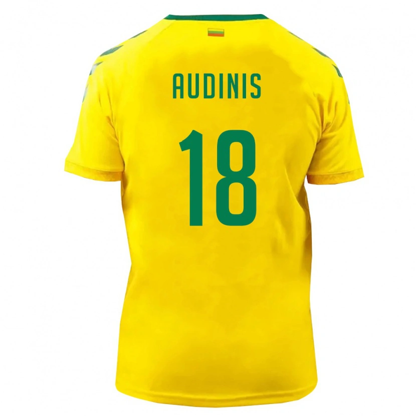 Danxen Niño Camiseta Lituania Nojus Audinis #18 Amarillo Verde 1ª Equipación 26-28 La Camisa