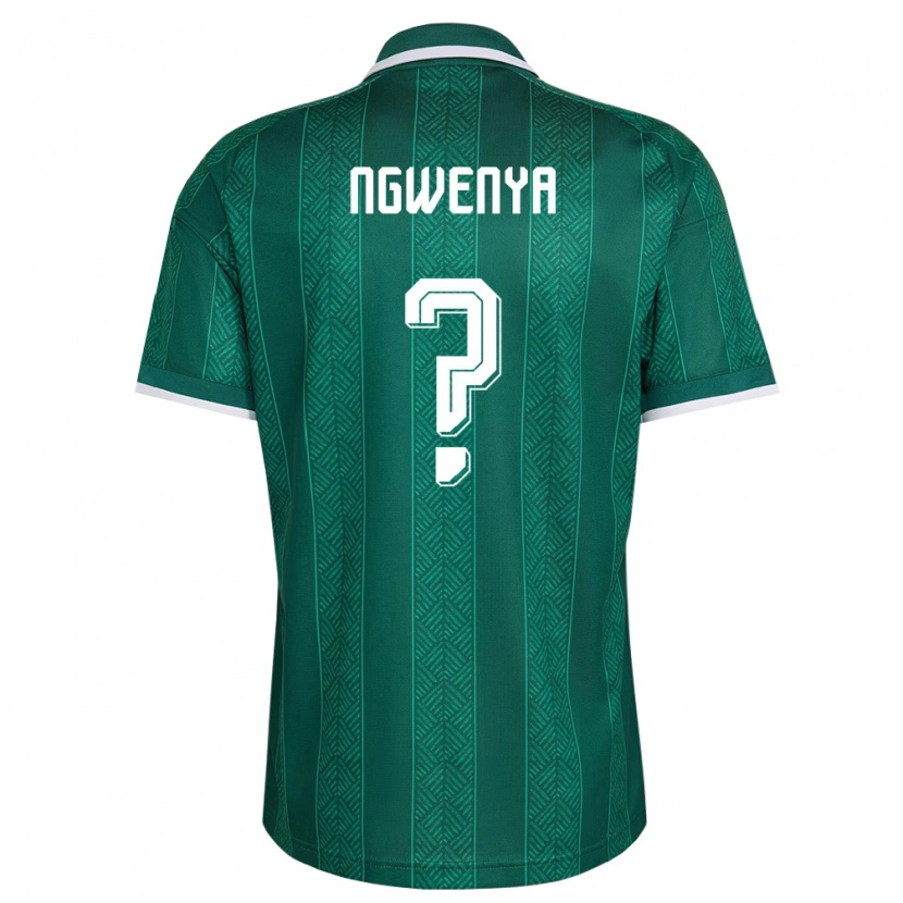 Danxen Niño Camiseta Sudáfrica Siphamandla Ngwenya #0 Verde Blanco Oro 2ª Equipación 26-28 La Camisa