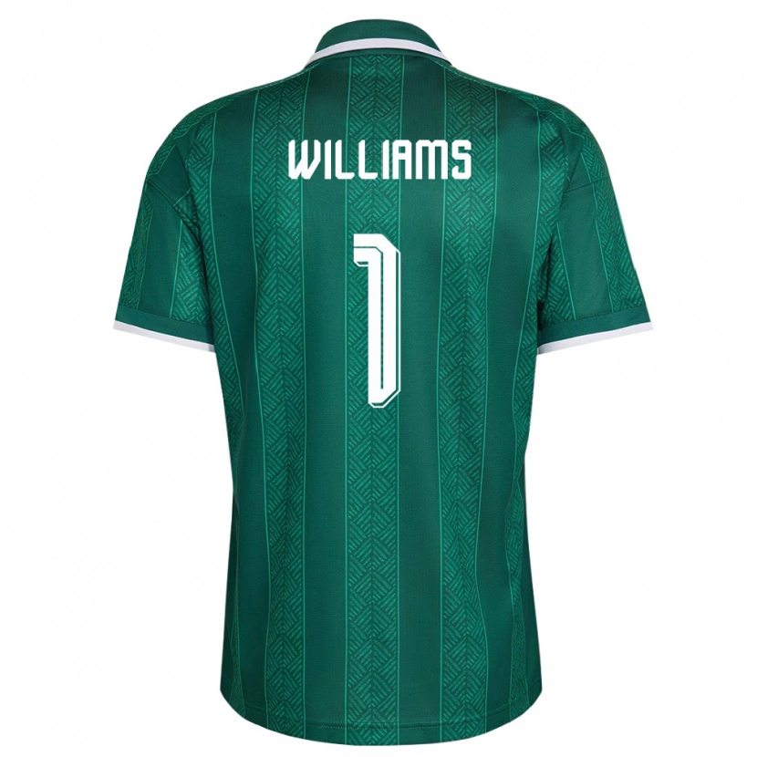 Danxen Niño Camiseta Sudáfrica Ronwen Williams #1 Verde Blanco Oro 2ª Equipación 26-28 La Camisa