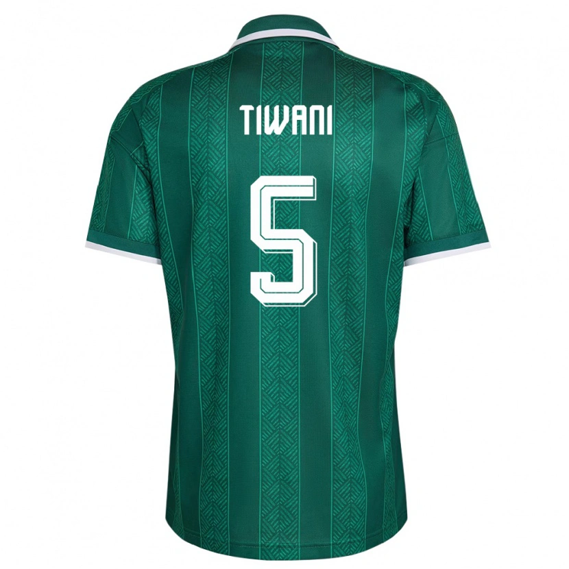 Danxen Niño Camiseta Sudáfrica Asekho Tiwani #5 Verde Blanco Oro 2ª Equipación 26-28 La Camisa