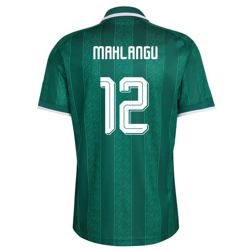 Danxen Niño Camiseta Sudáfrica Thabang Mahlangu #12 Verde Blanco Oro 2ª Equipación 26-28 La Camisa