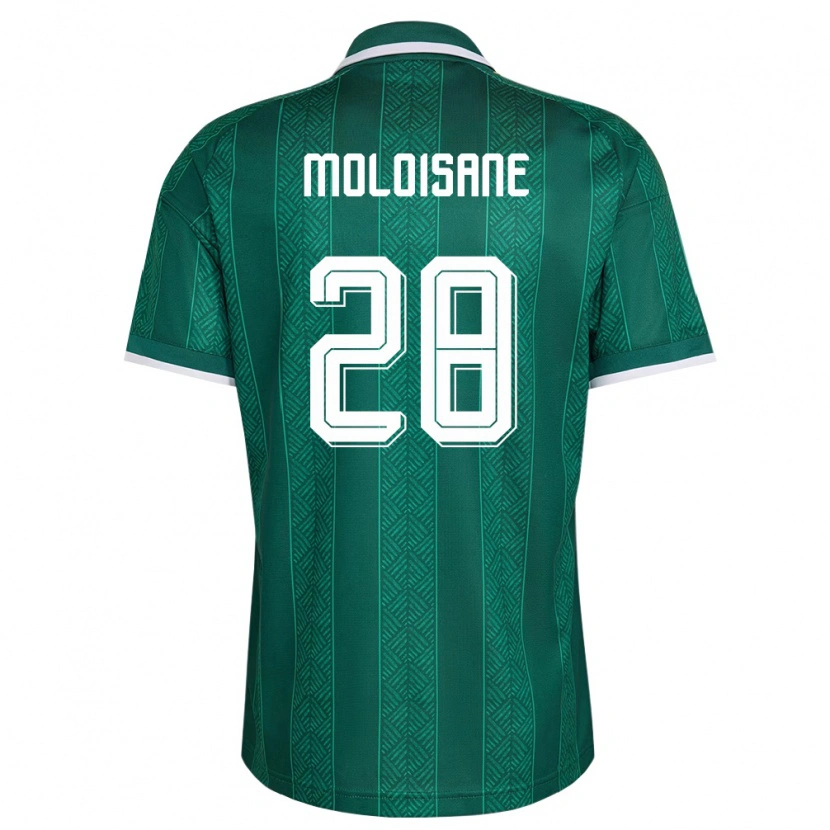 Danxen Niño Camiseta Sudáfrica Thabo Moloisane #28 Verde Blanco Oro 2ª Equipación 26-28 La Camisa