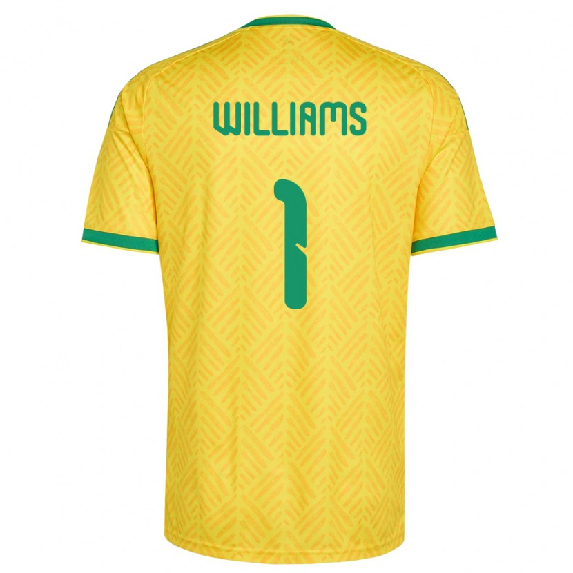 Danxen Hombre Camiseta Sudáfrica Ronwen Williams #1 Amarillo Verde 1ª Equipación 26-28 La Camisa
