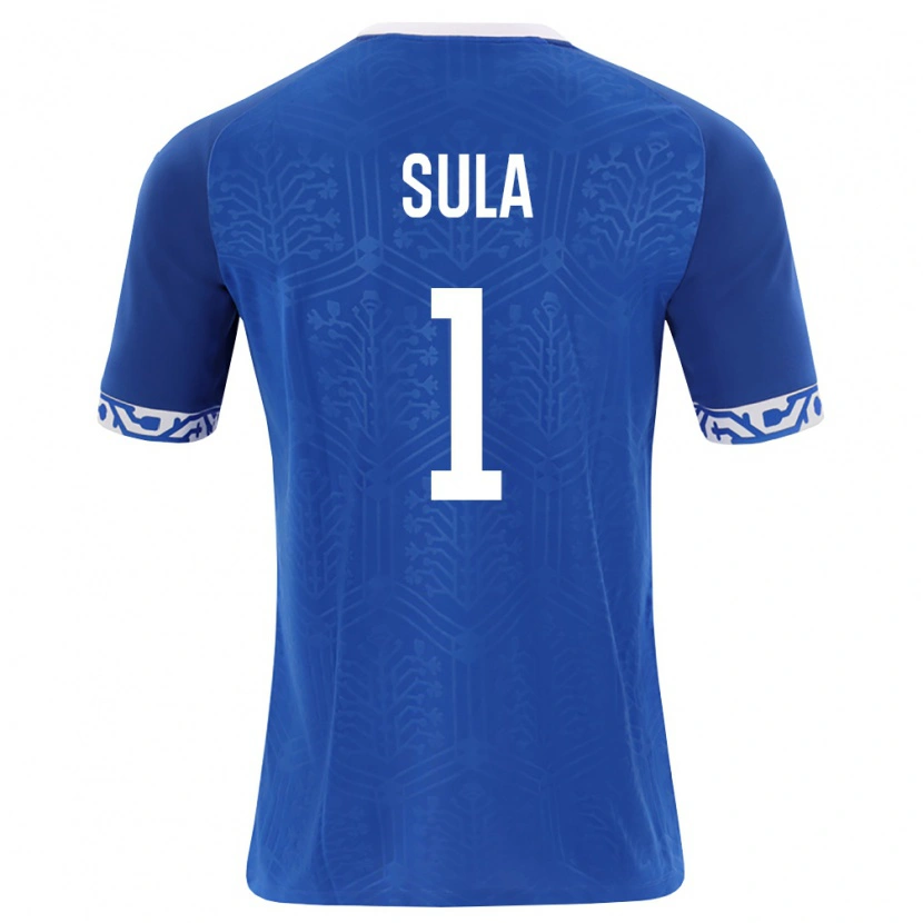 Danxen Hombre Camiseta Moldavia Hector Sula #1 Azul Real Blanco 1ª Equipación 26-28 La Camisa