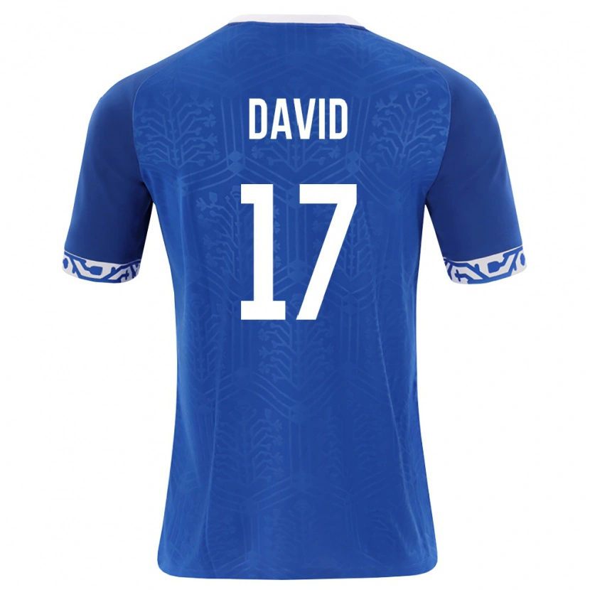 Danxen Hombre Camiseta Moldavia Ovidiu David #17 Azul Real Blanco 1ª Equipación 26-28 La Camisa