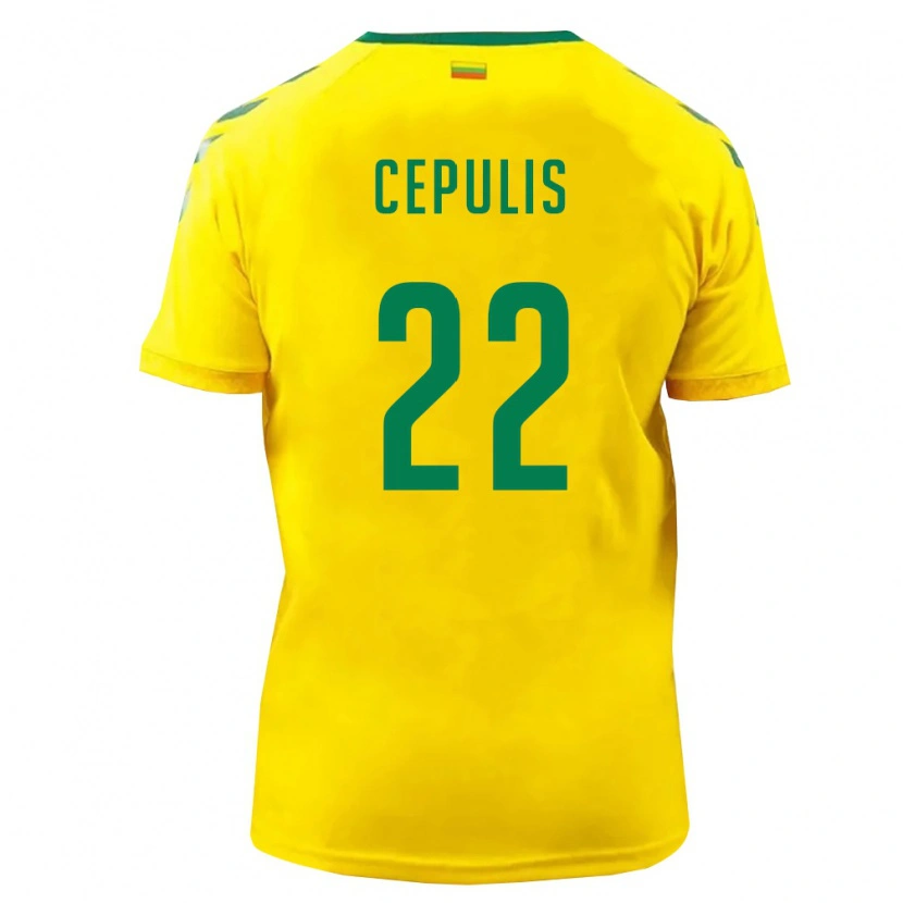 Danxen Hombre Camiseta Lituania Kristupas Cepulis #22 Amarillo Verde 1ª Equipación 26-28 La Camisa