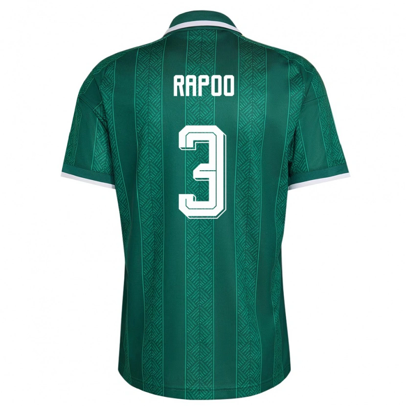 Danxen Hombre Camiseta Sudáfrica Neo Rapoo #3 Verde Blanco Oro 2ª Equipación 26-28 La Camisa
