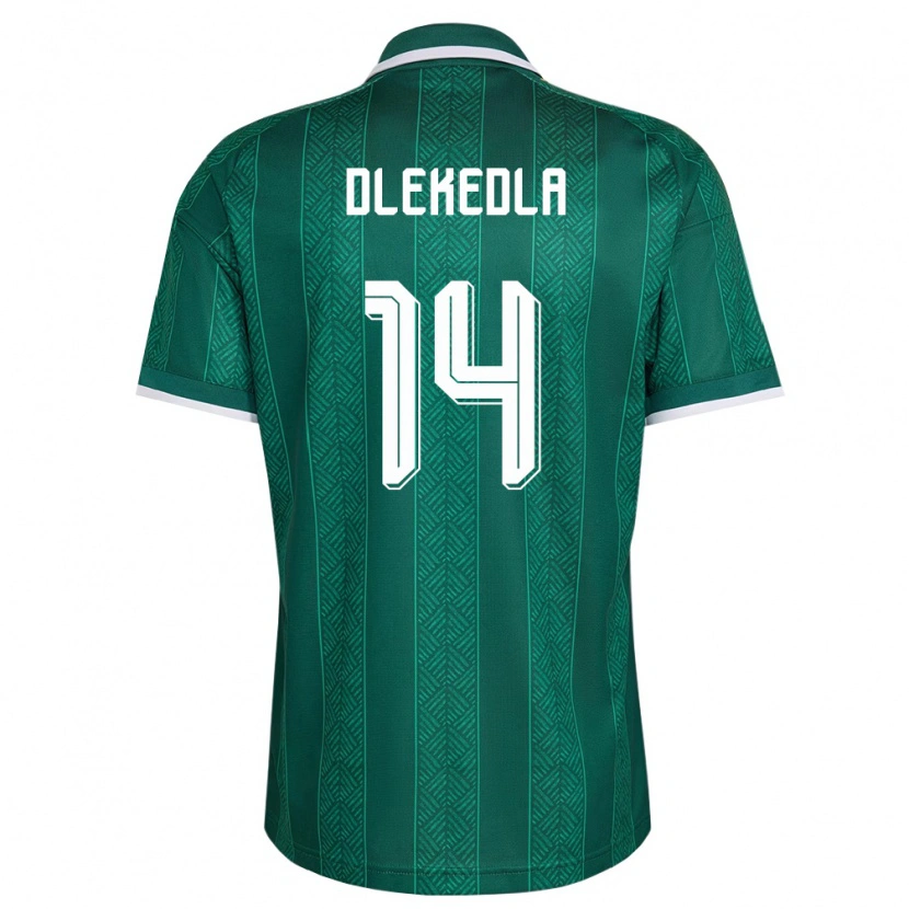 Danxen Hombre Camiseta Sudáfrica Abulele Dlekedla #14 Verde Blanco Oro 2ª Equipación 26-28 La Camisa